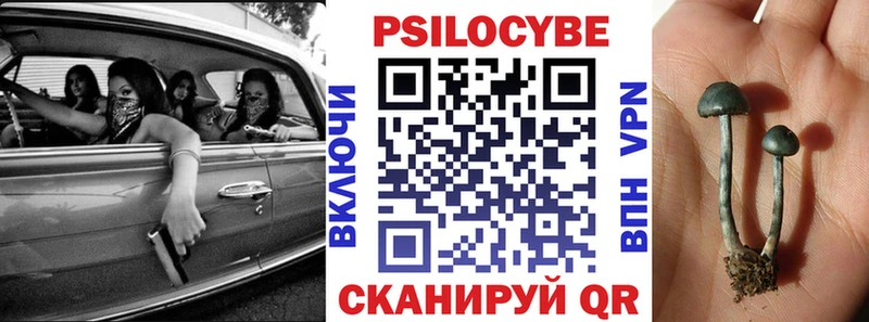 Псилоцибиновые грибы мухоморы купить наркоту Магас